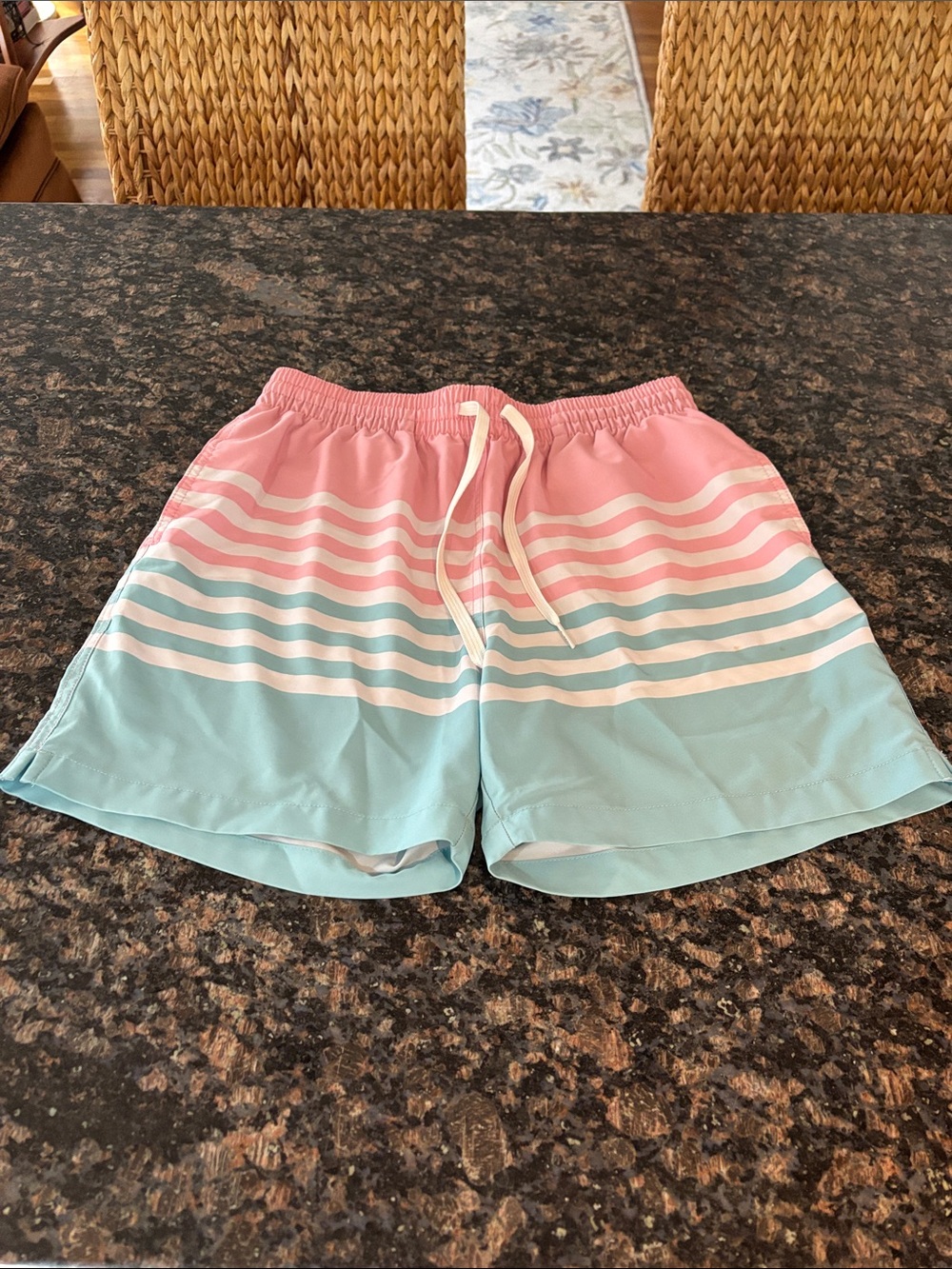 Chubbies Swim Shorts
